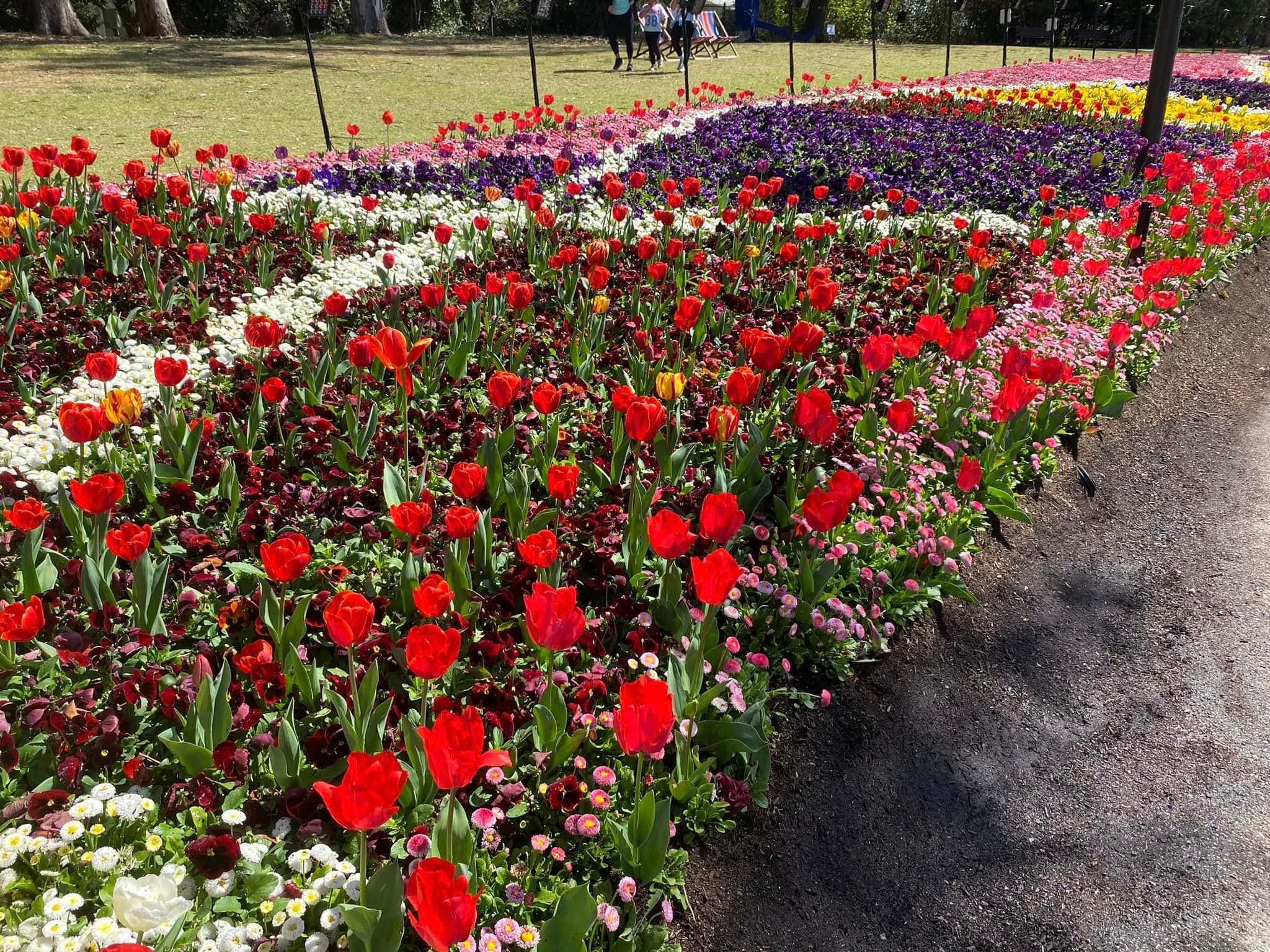 Floriade - Garden Extravaganza 2024 Image -67006a52b65de