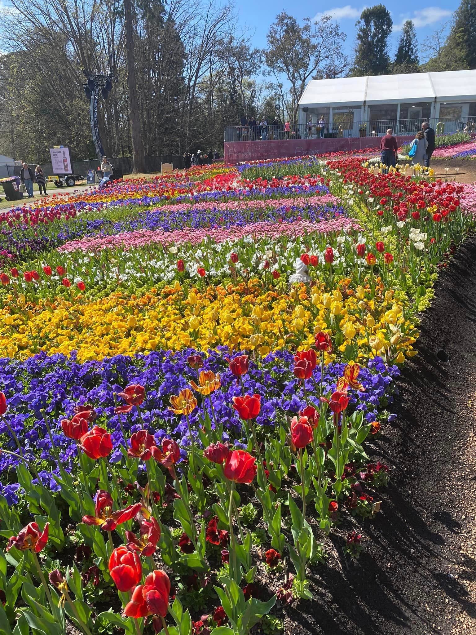 Floriade - Garden Extravaganza 2024 Image -67006a5415041