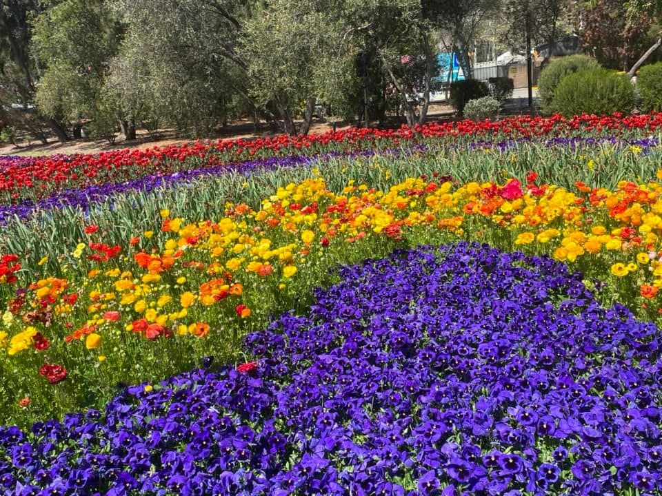 Floriade - Garden Extravaganza 2024 Image -67006a5516f18