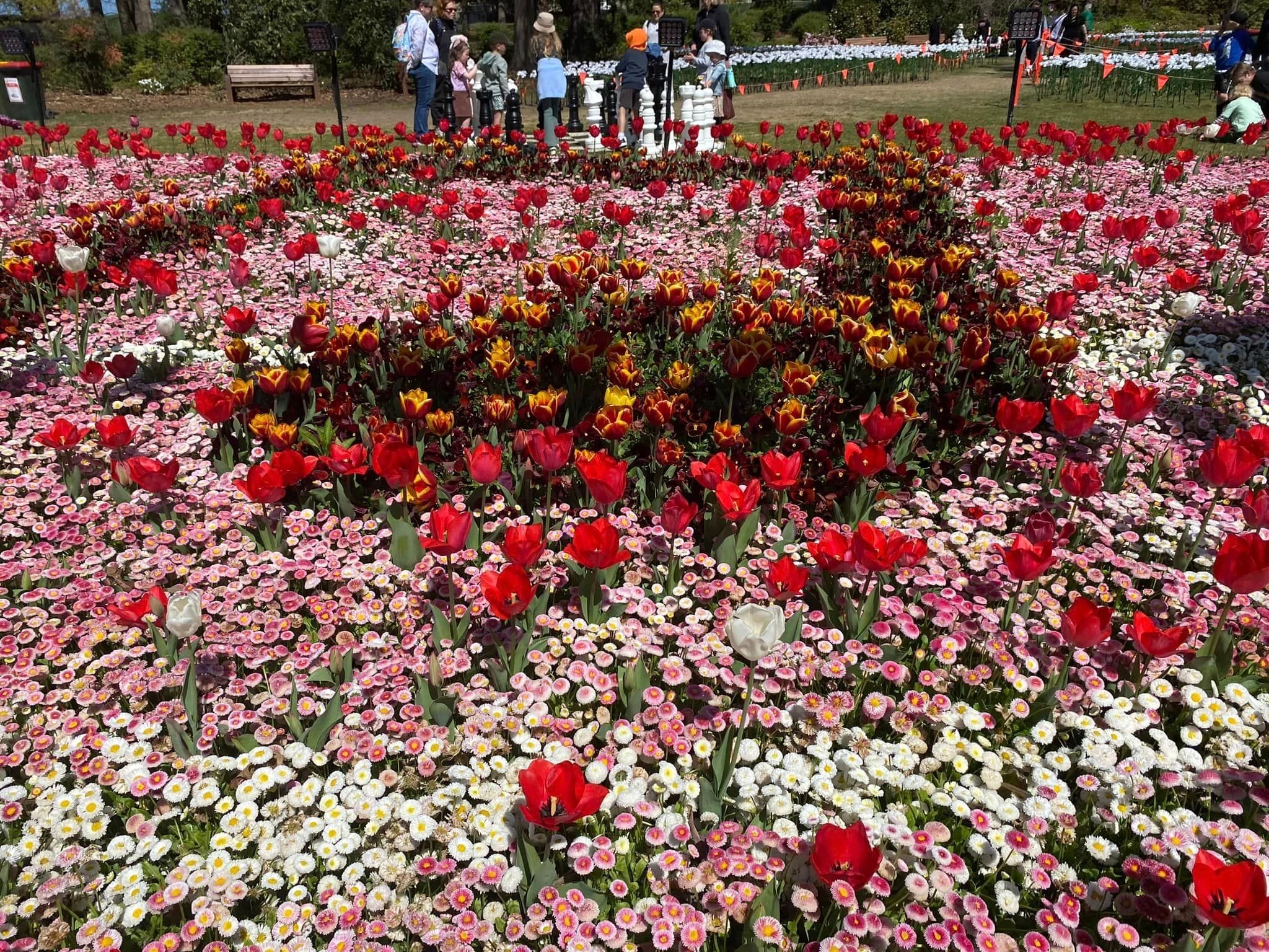 Floriade - Garden Extravaganza 2024 Image -67006a5749dc6