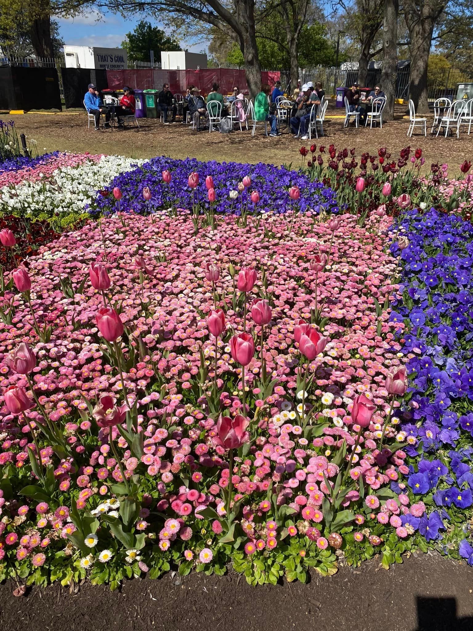 Floriade - Garden Extravaganza 2024 Image -67006a5b0ef00