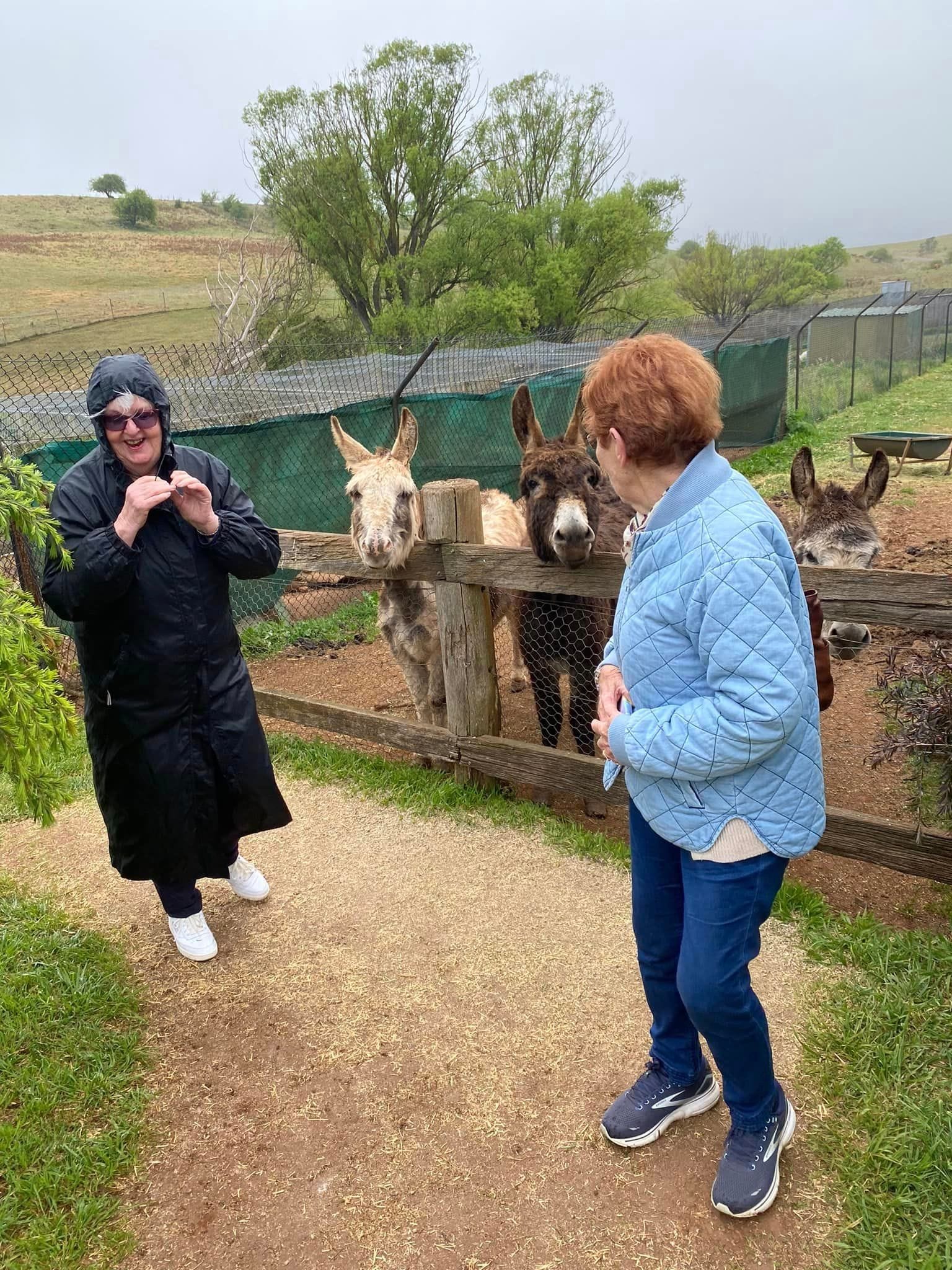 Taralga Wildlife Sanctuary - Garden Extravaganza Tour 2024 Image -6700735d909d8