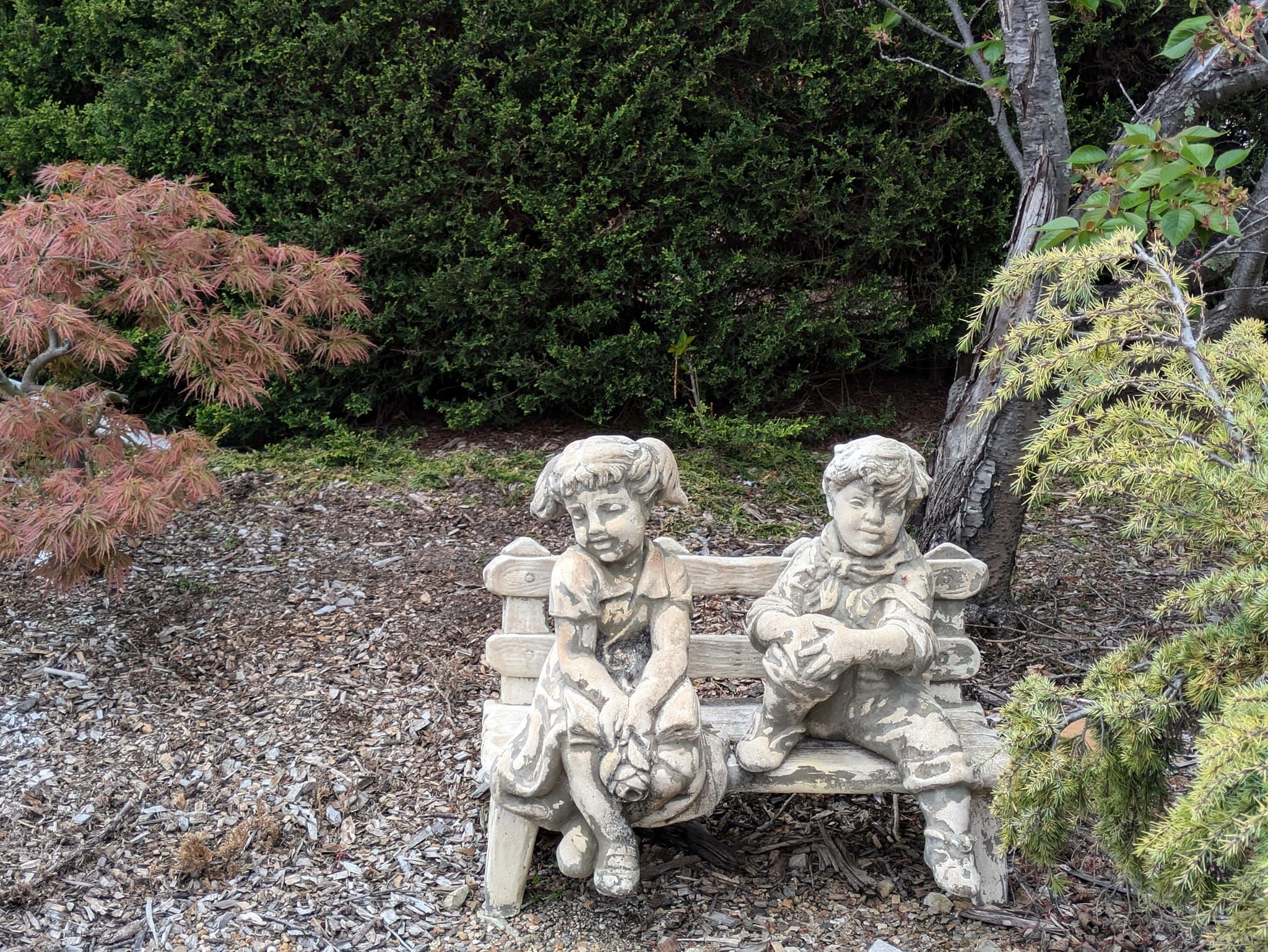 Goryu Japanese Garden - Garden Extravaganza 2024 Goryu Japanese Garden - Garden Extravaganza 2024