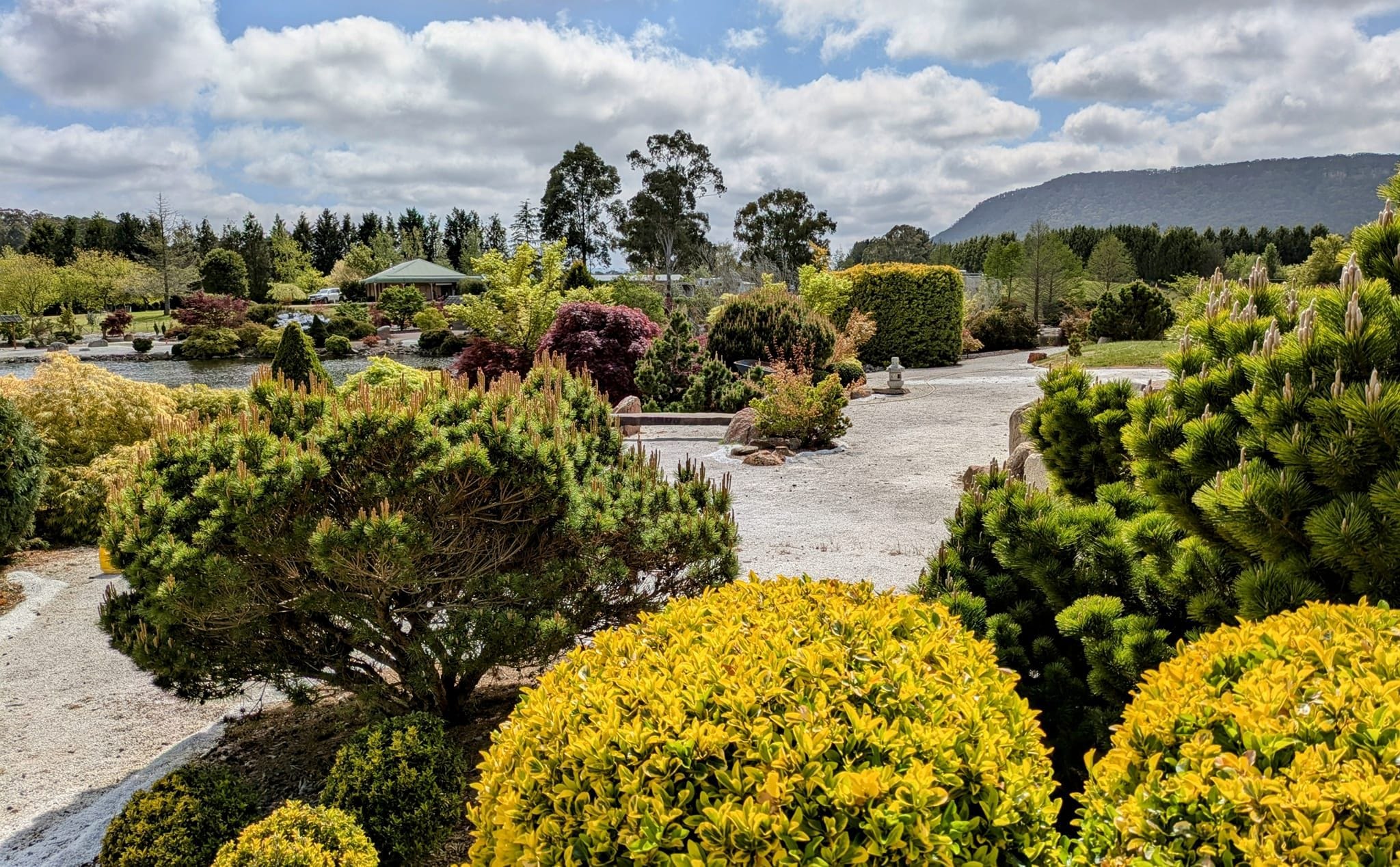 Goryu Japanese Garden - Garden Extravaganza 2024 Image -6701cc79d90af