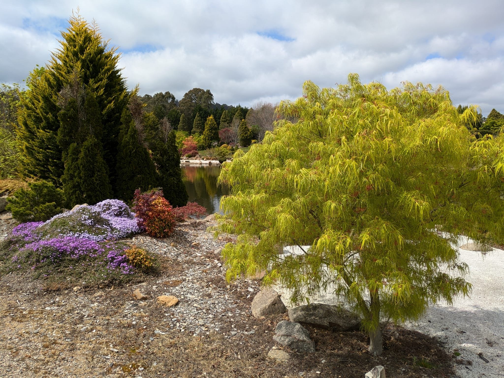 Goryu Japanese Garden - Garden Extravaganza 2024 Image -6701cc7a7b3d7