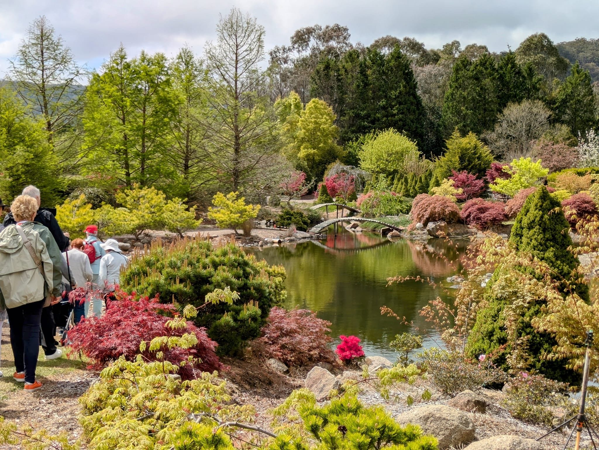 Goryu Japanese Garden - Garden Extravaganza 2024 Image -6701cc7b2231a