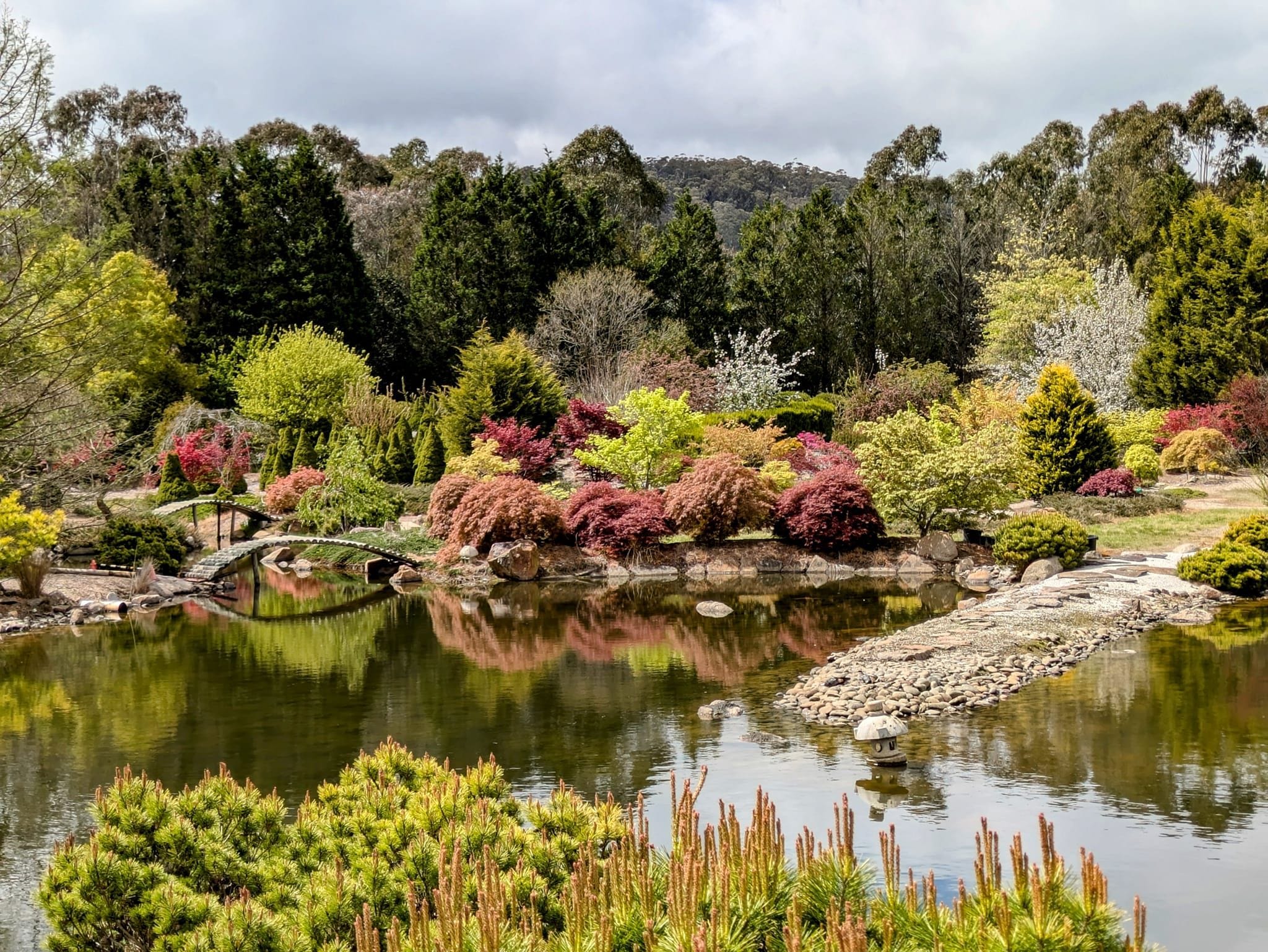 Goryu Japanese Garden - Garden Extravaganza 2024 Image -6701cc7bcda3c