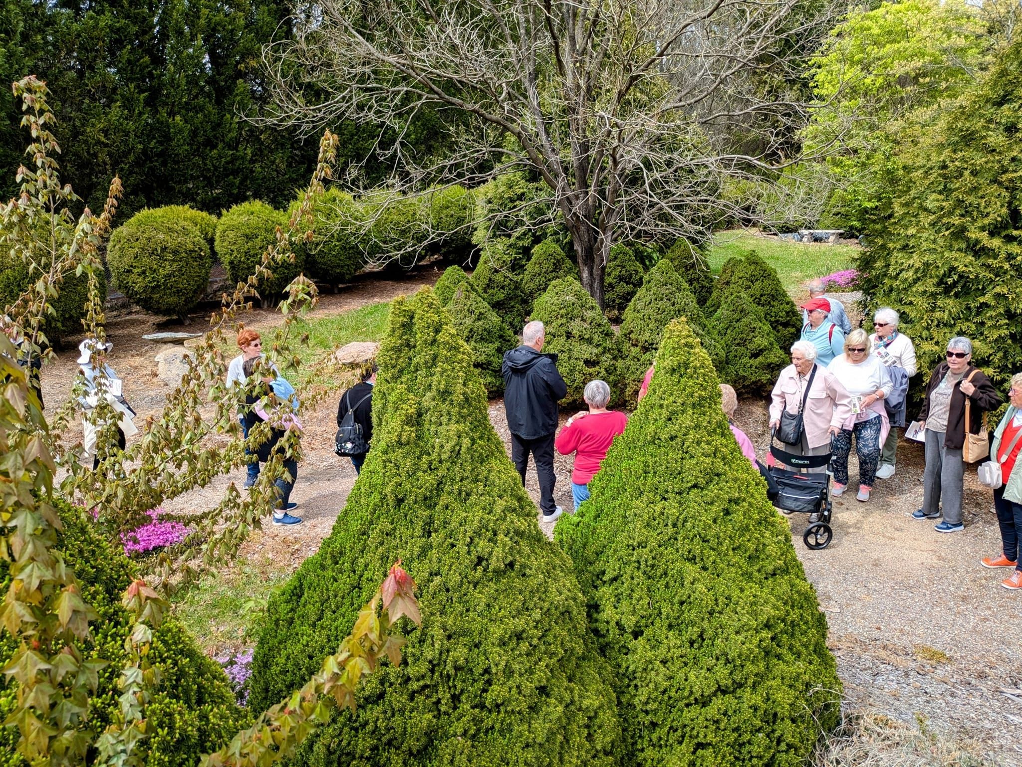 Goryu Japanese Garden - Garden Extravaganza 2024 Image -6701cc848981b