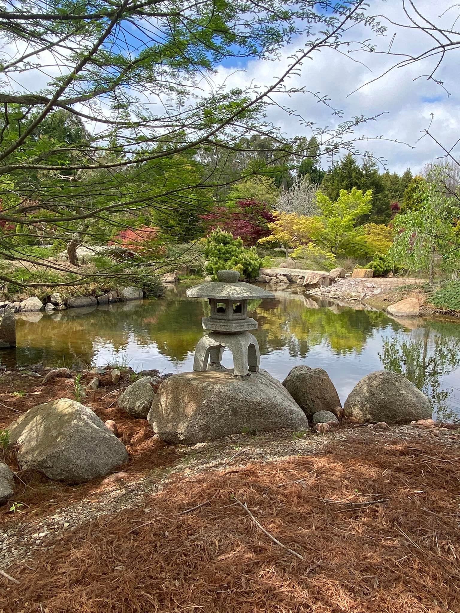 Goryu Japanese Garden - Garden Extravaganza 2024 Image -6701cc8acd531