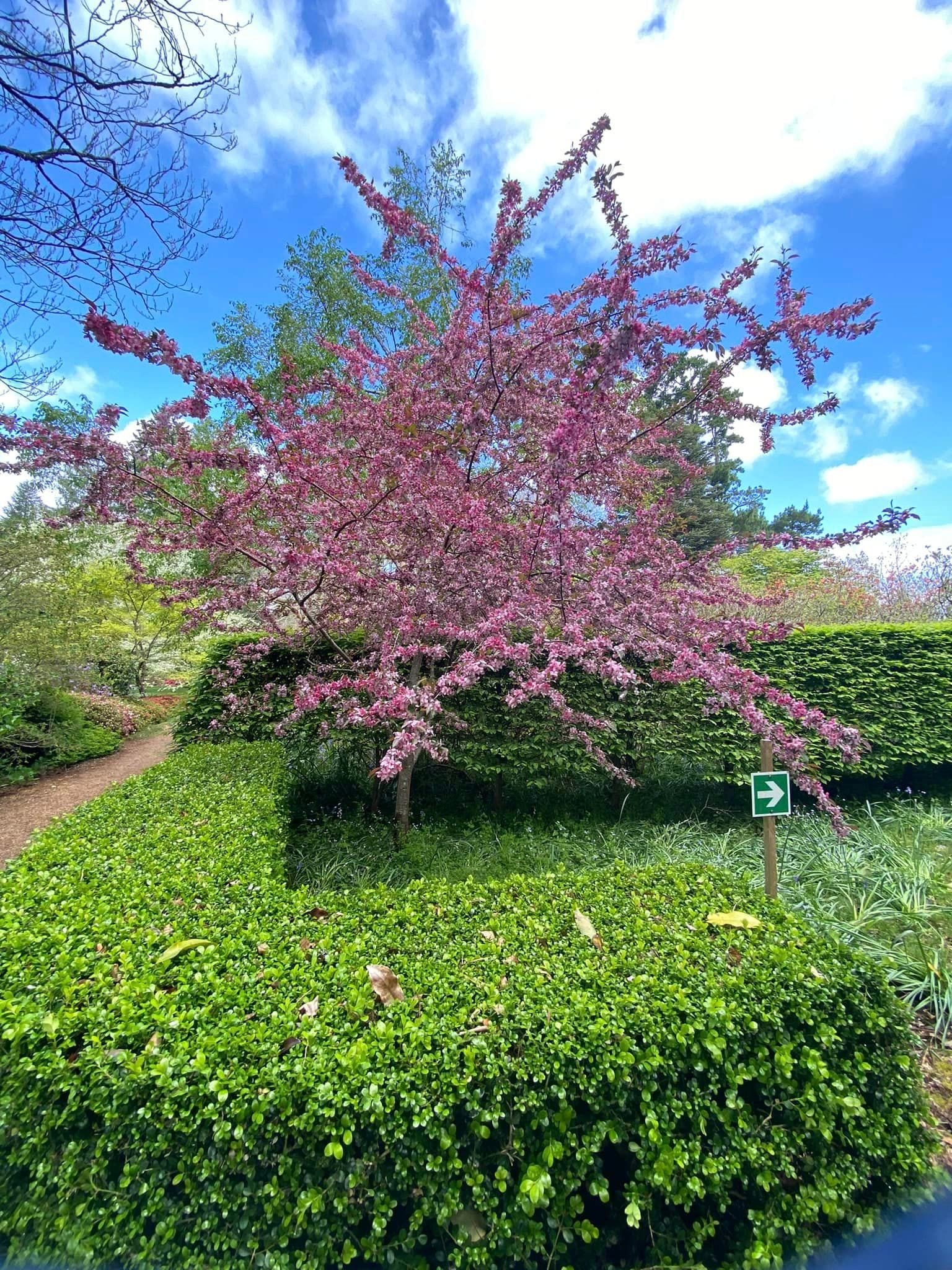 Naroo Gardens Mount Wilson - Garden Extravaganza Tour 2024 Image -6701d0d65e2fa