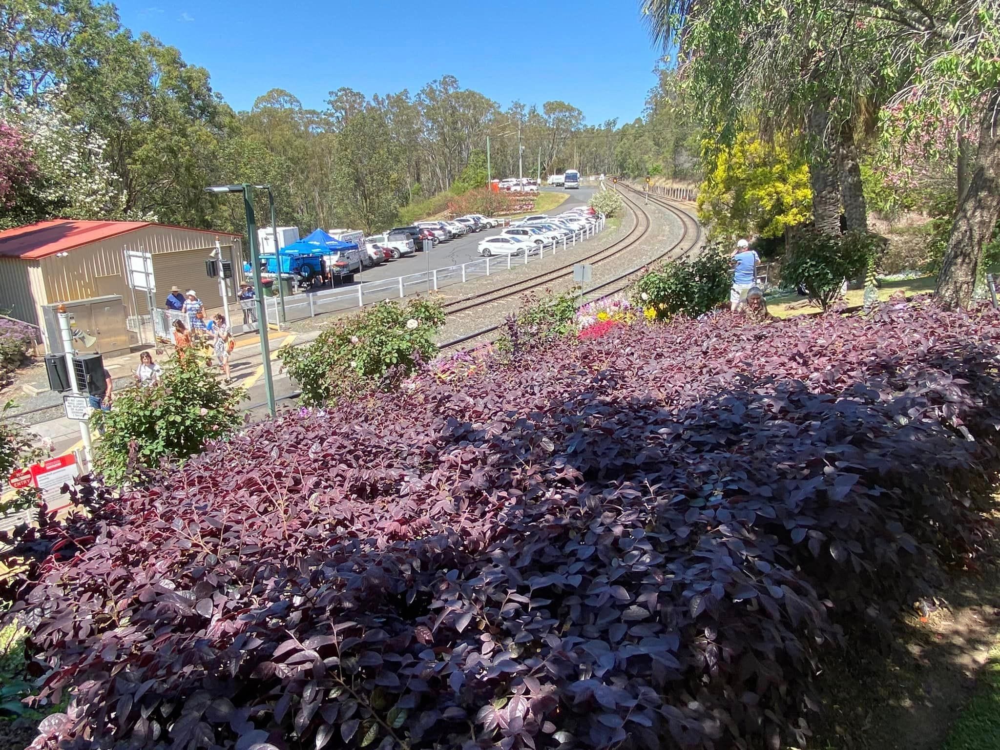 Toowoomba Garden Festival 2024 Image -6702341f7ee53