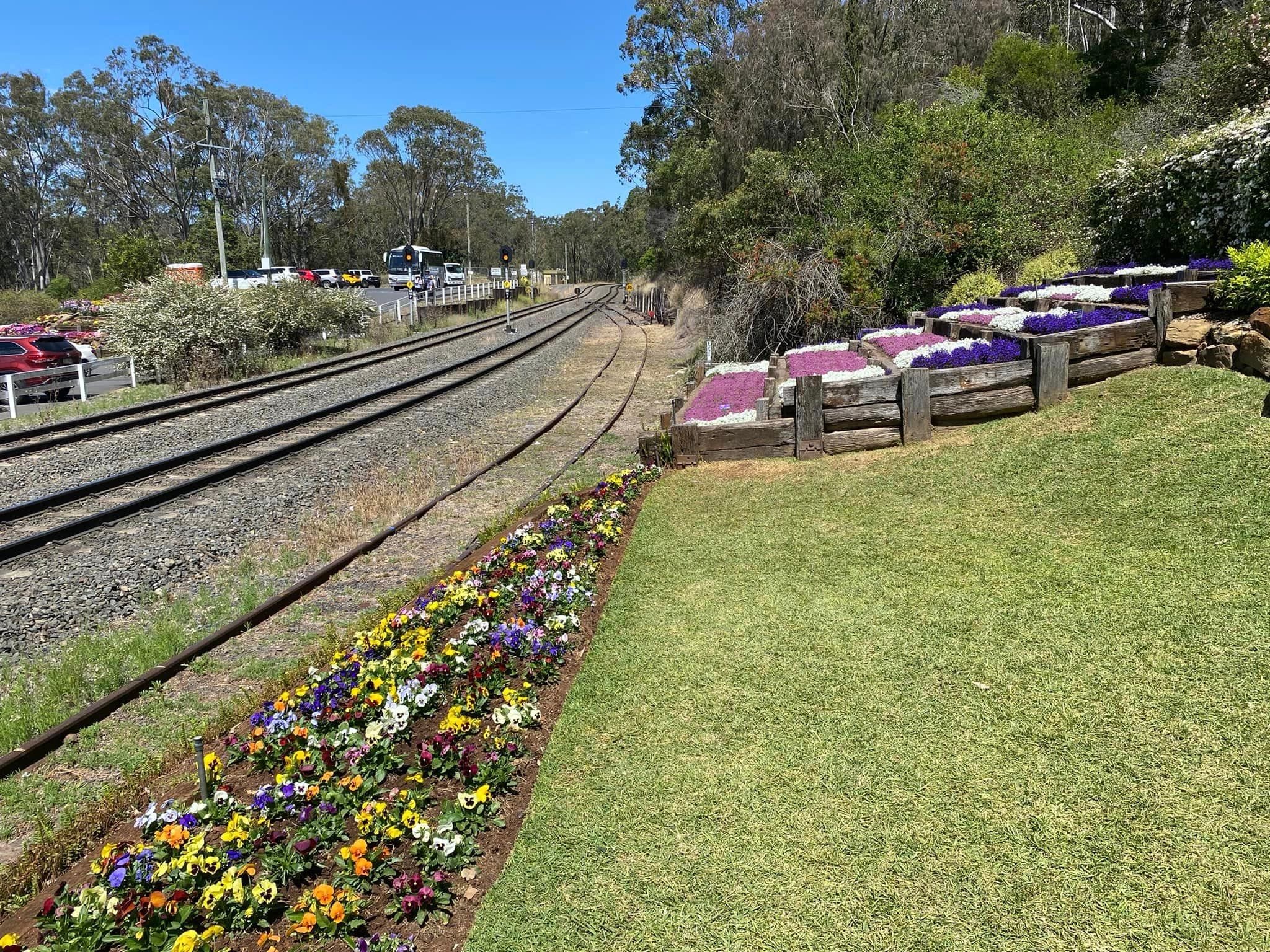 Toowoomba Garden Festival 2024 Image -6702342558f3b