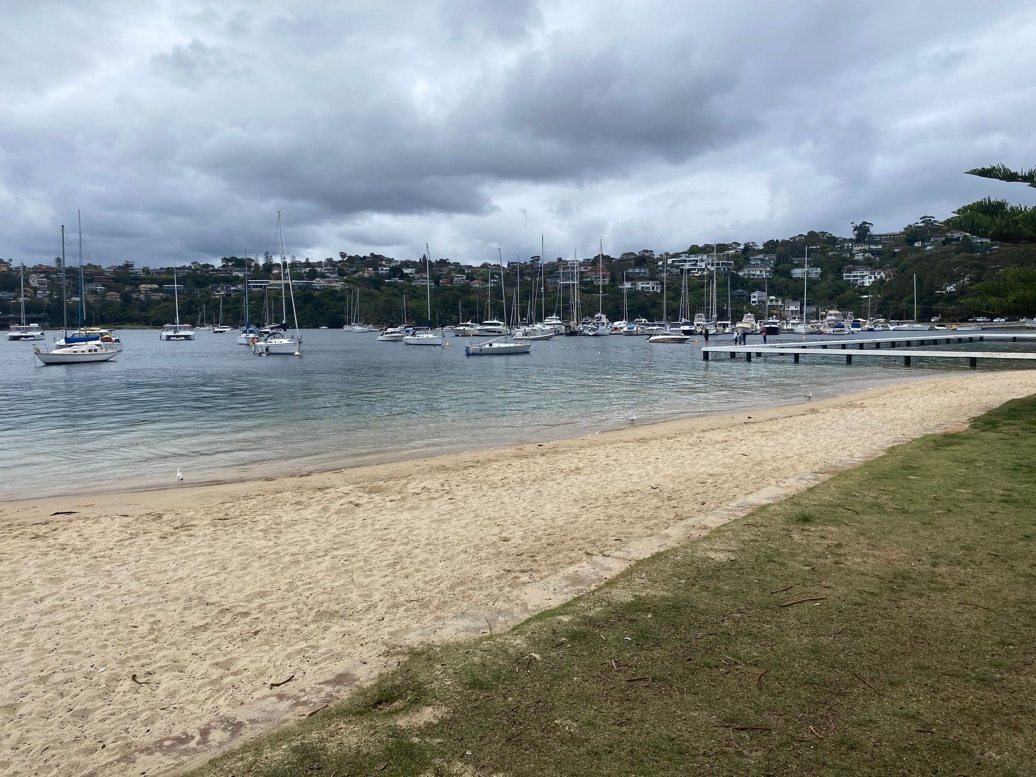 Northern Beaches Public Day Tour - 9th October 2024 Image -67076a2541470