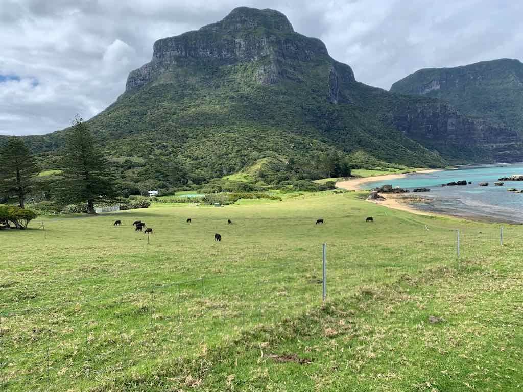 Lord Howe Island - Escape to Paradise October 2024 Image -6711bb404586d