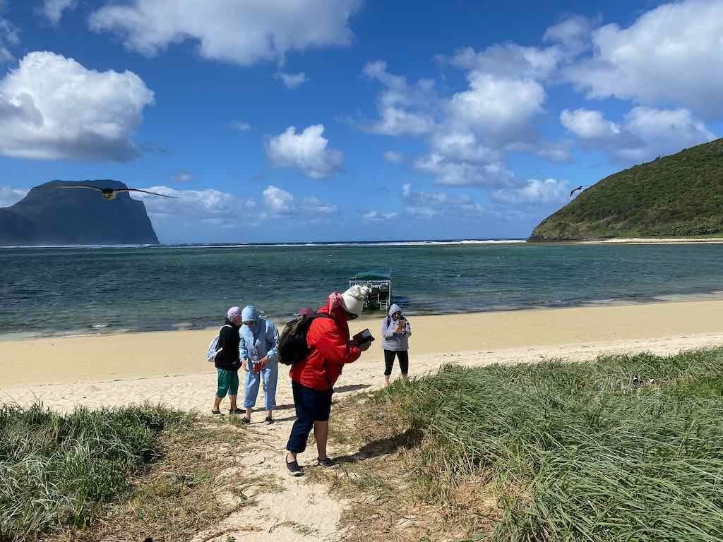 Lord Howe Island - Escape to Paradise October 2024 Image -6711bb4136757