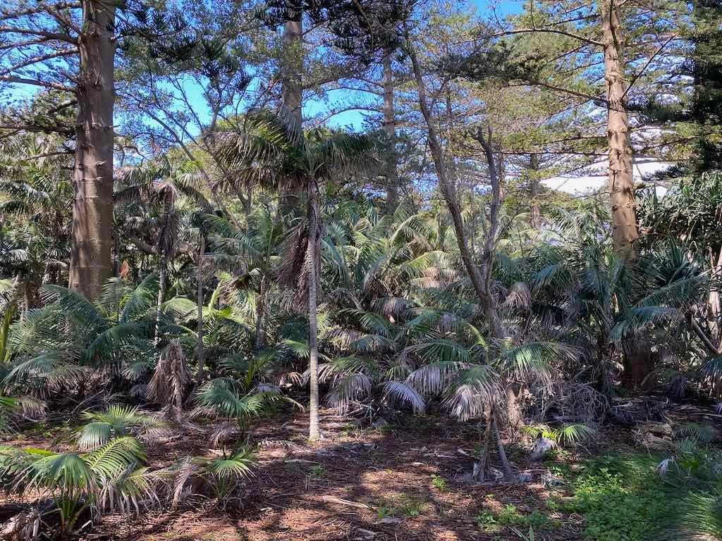 Lord Howe Island - Escape to Paradise October 2024 Image -6711bb4eb342c