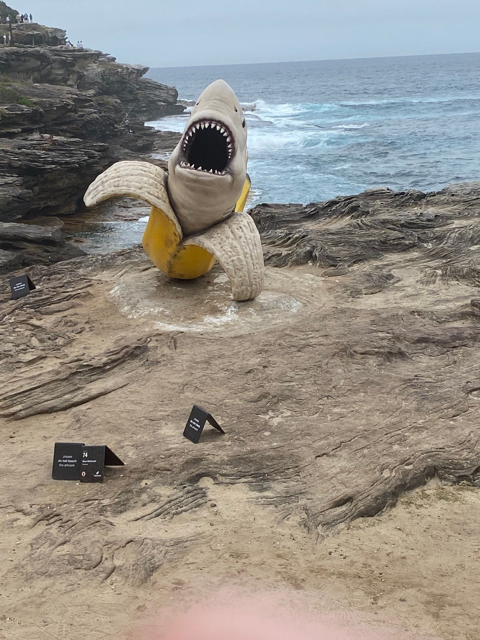 Sculptures by the Sea Public Day tour October 23/10/2024