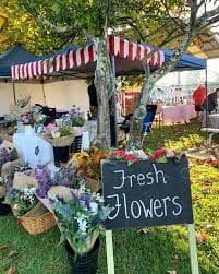 Cobbitty Markets Public Day Tour - 2nd November 2024