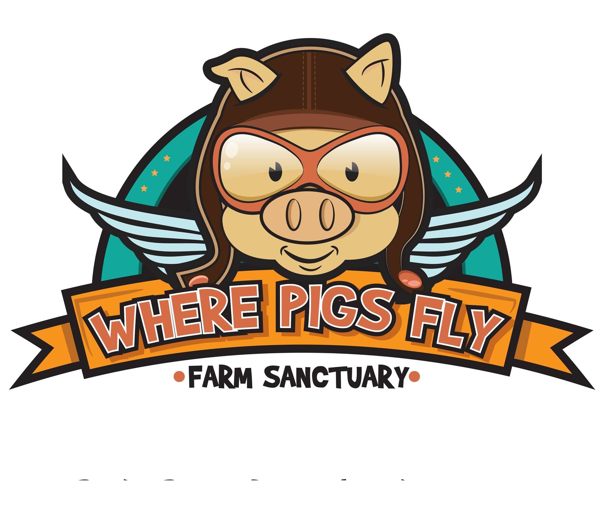 Where Pigs Fly Farm Sanctuary Image -672963a8e81a0