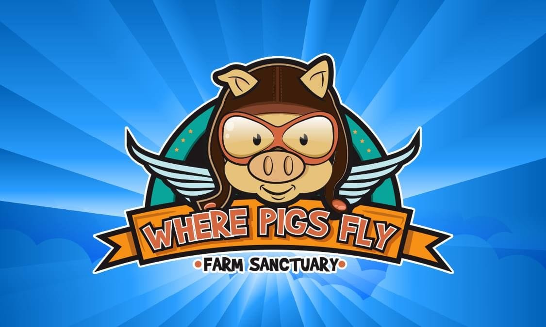 Where Pigs Fly Farm Sanctuary Image -672963a9aa20b