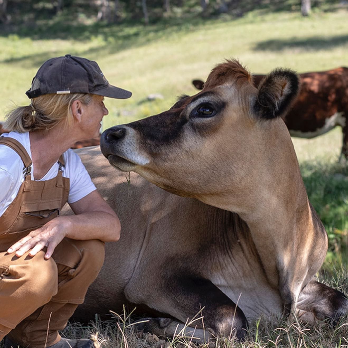 Where Pigs Fly Farm Sanctuary