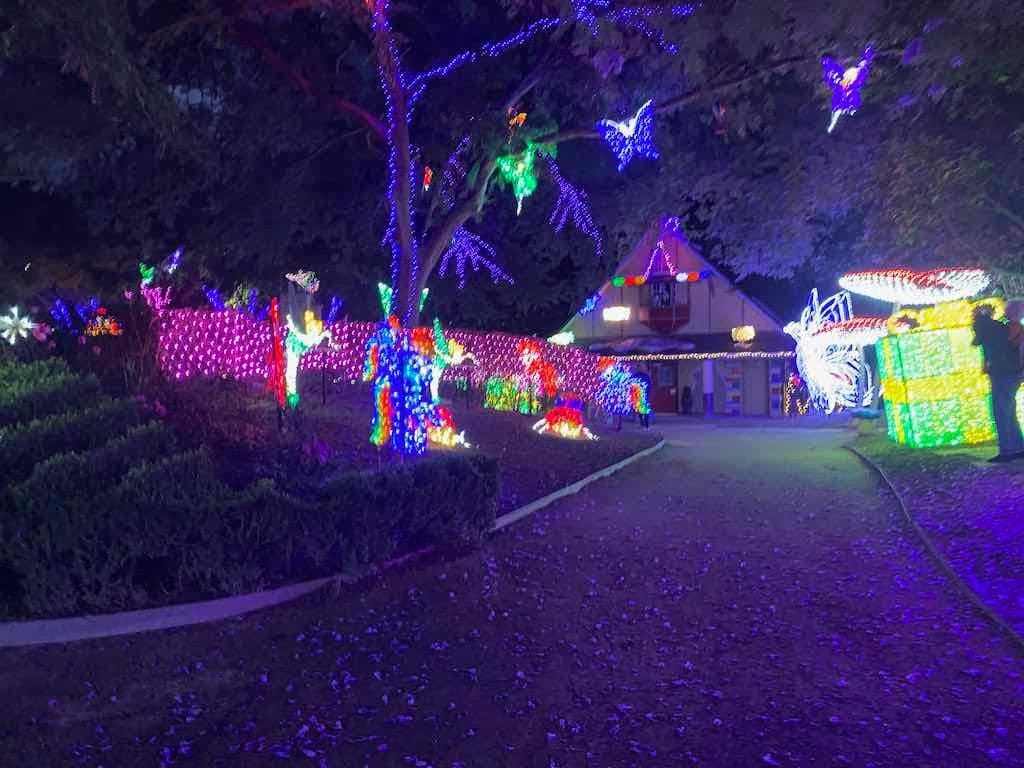 Brentwood Village Probus Group - Hunter Valley Gardens Christmas Lights Image -67367464814c0