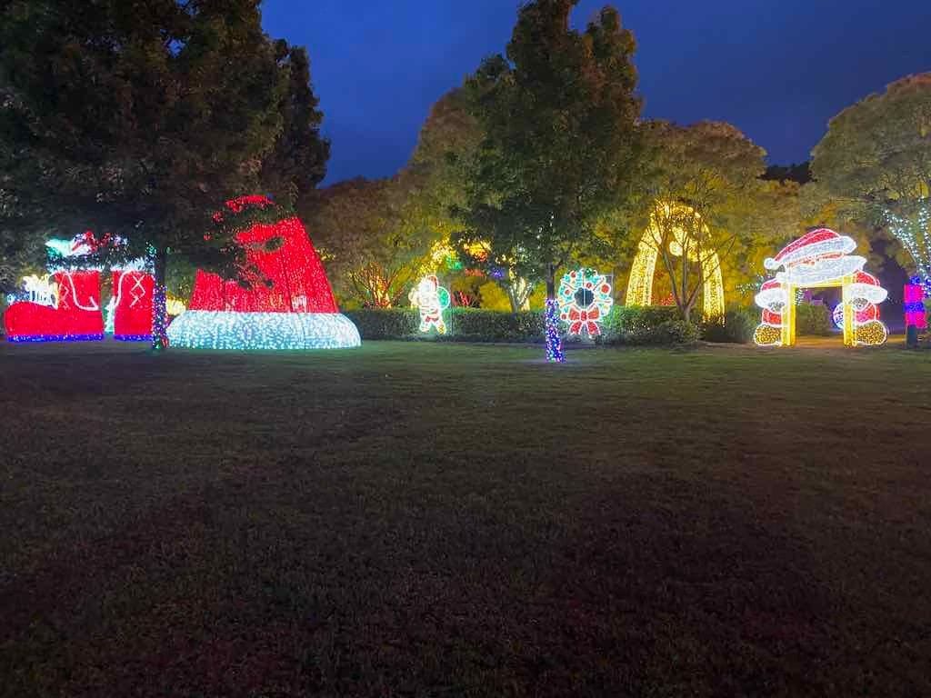 Brentwood Village Probus Group - Hunter Valley Gardens Christmas Lights Image -6736746845f1f