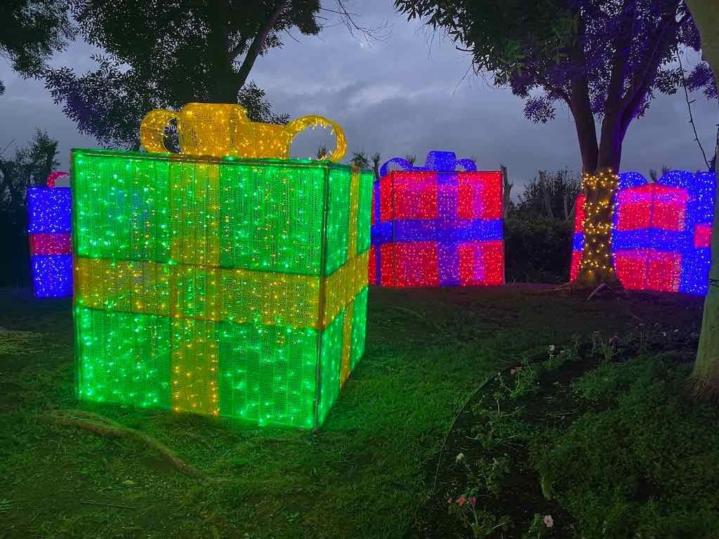 Brentwood Village Probus Group - Hunter Valley Gardens Christmas Lights Image -673674734ba6c