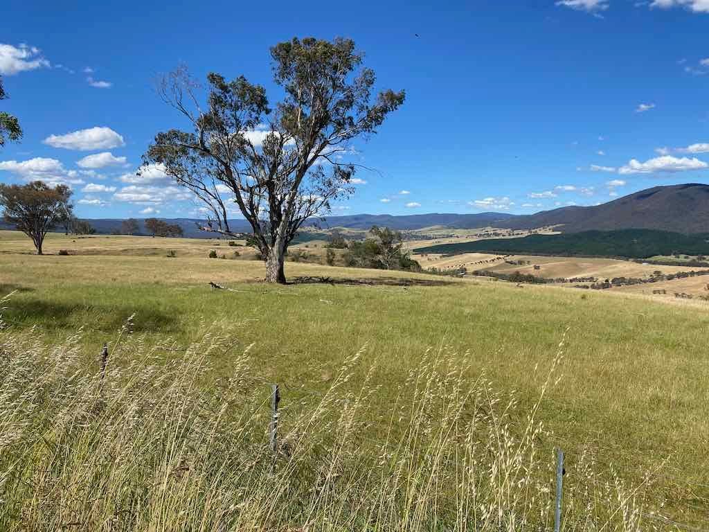 Snowy Mountains Adventure 2024 Image -67424de230298