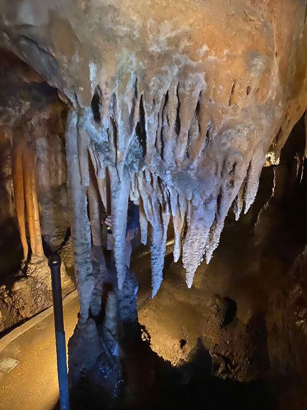 Yarangabilly Caves - Snowy Mountain Adventure 2024 Image -67425eebeb19a