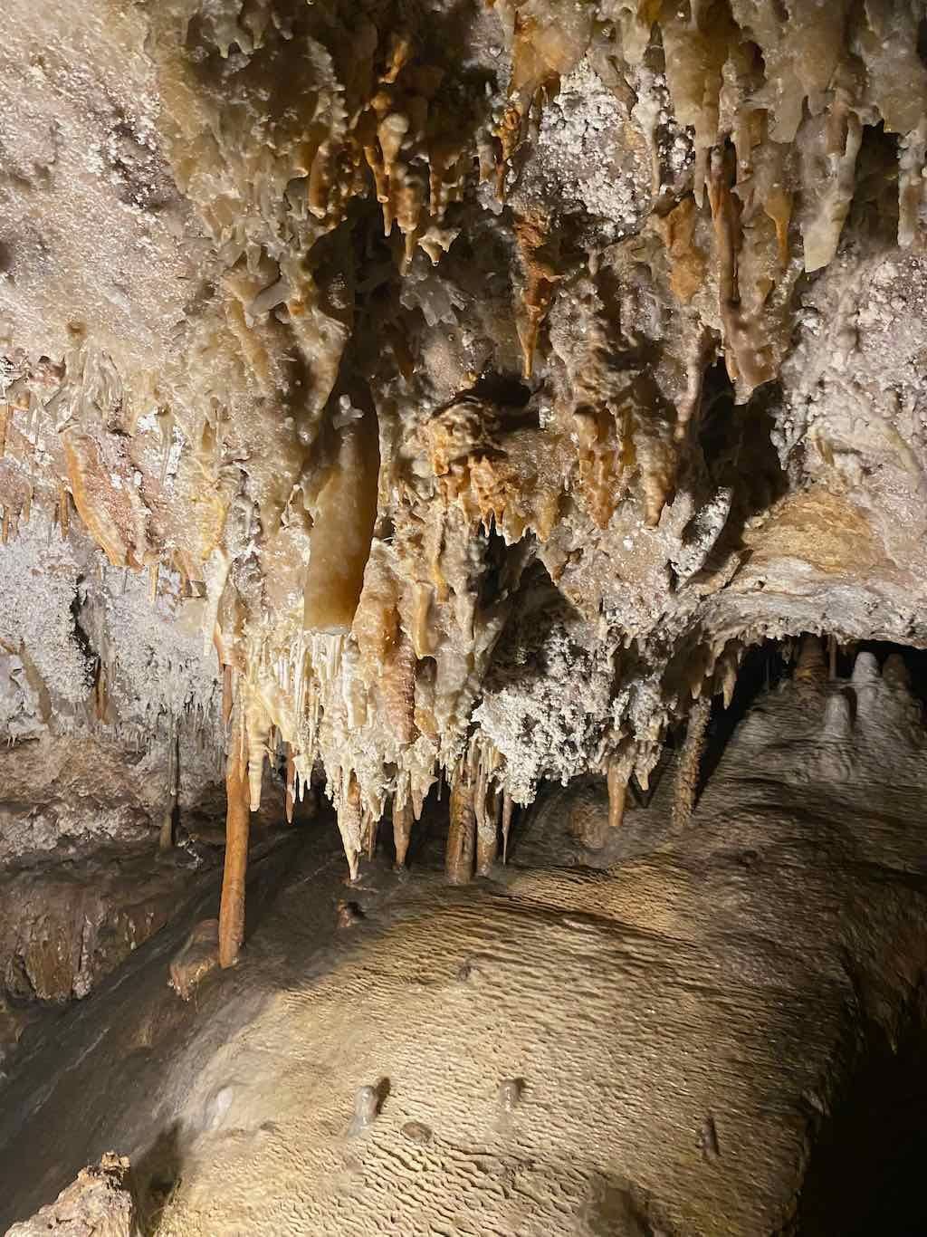 Yarangabilly Caves - Snowy Mountain Adventure 2024 Image -67425eed08c48