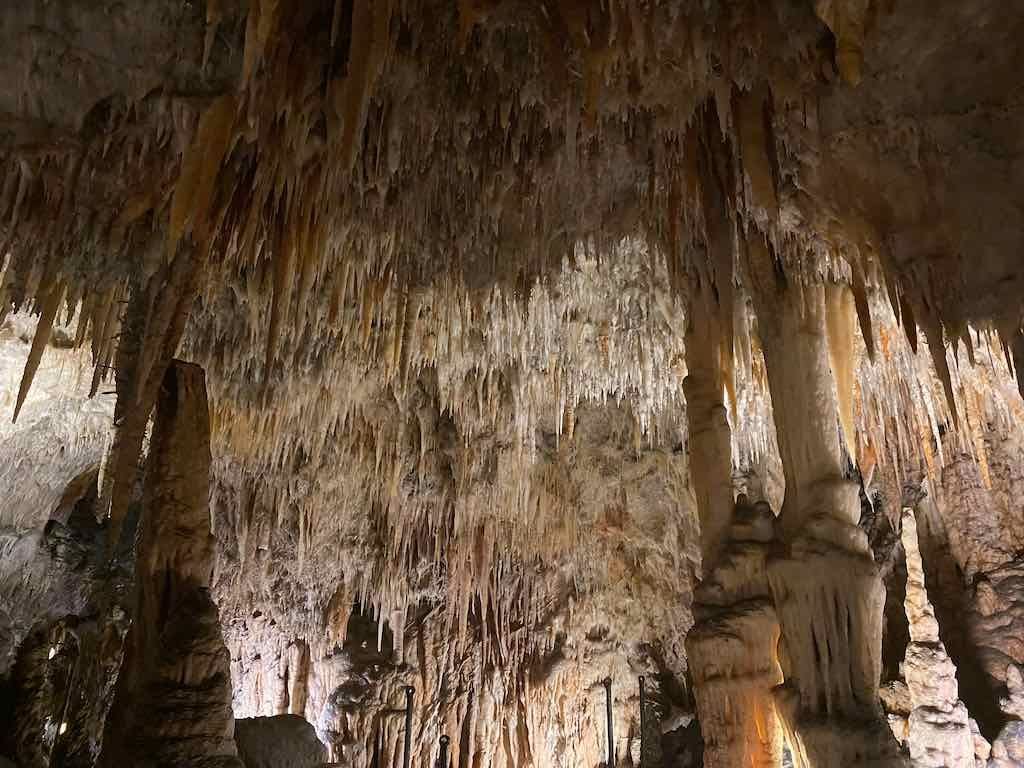 Yarangabilly Caves - Snowy Mountain Adventure 2024 Image -67425ef1a7a18