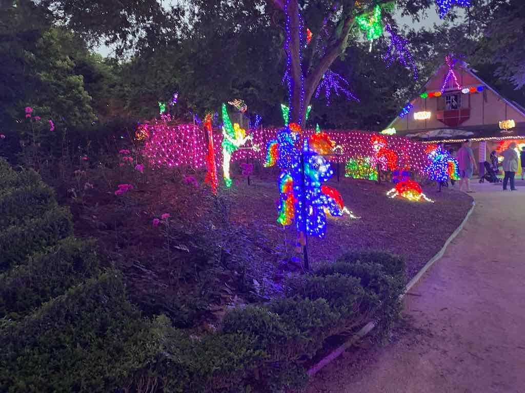 Hunter Valley Christmas Lights Public Day Tour (10th December 2024 ) Image -675780fb1f6ee