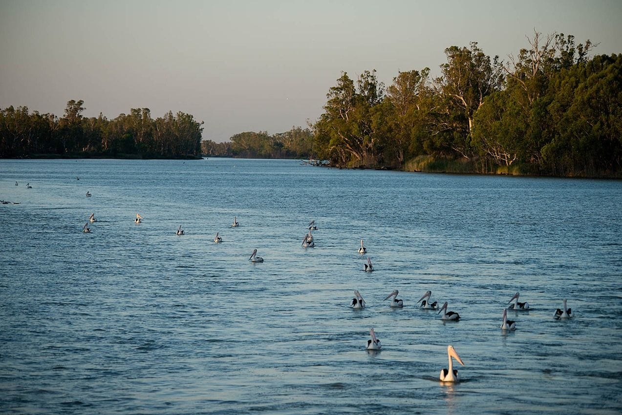 Proud Mary Murray River Cruise Image -6797574da75f0