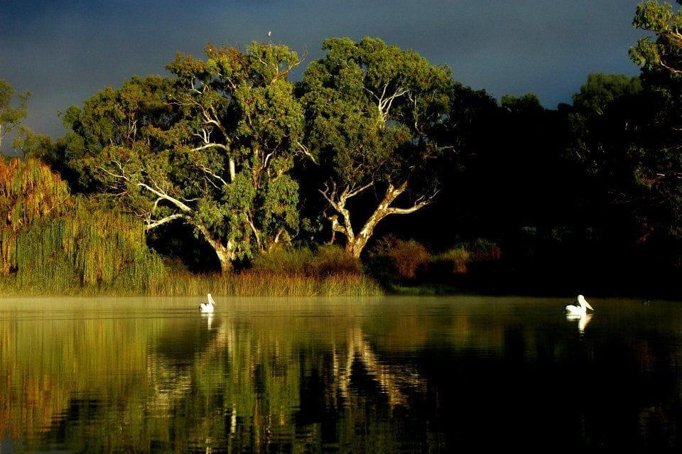 Proud Mary Murray River Cruise Image -6797575cba7d0