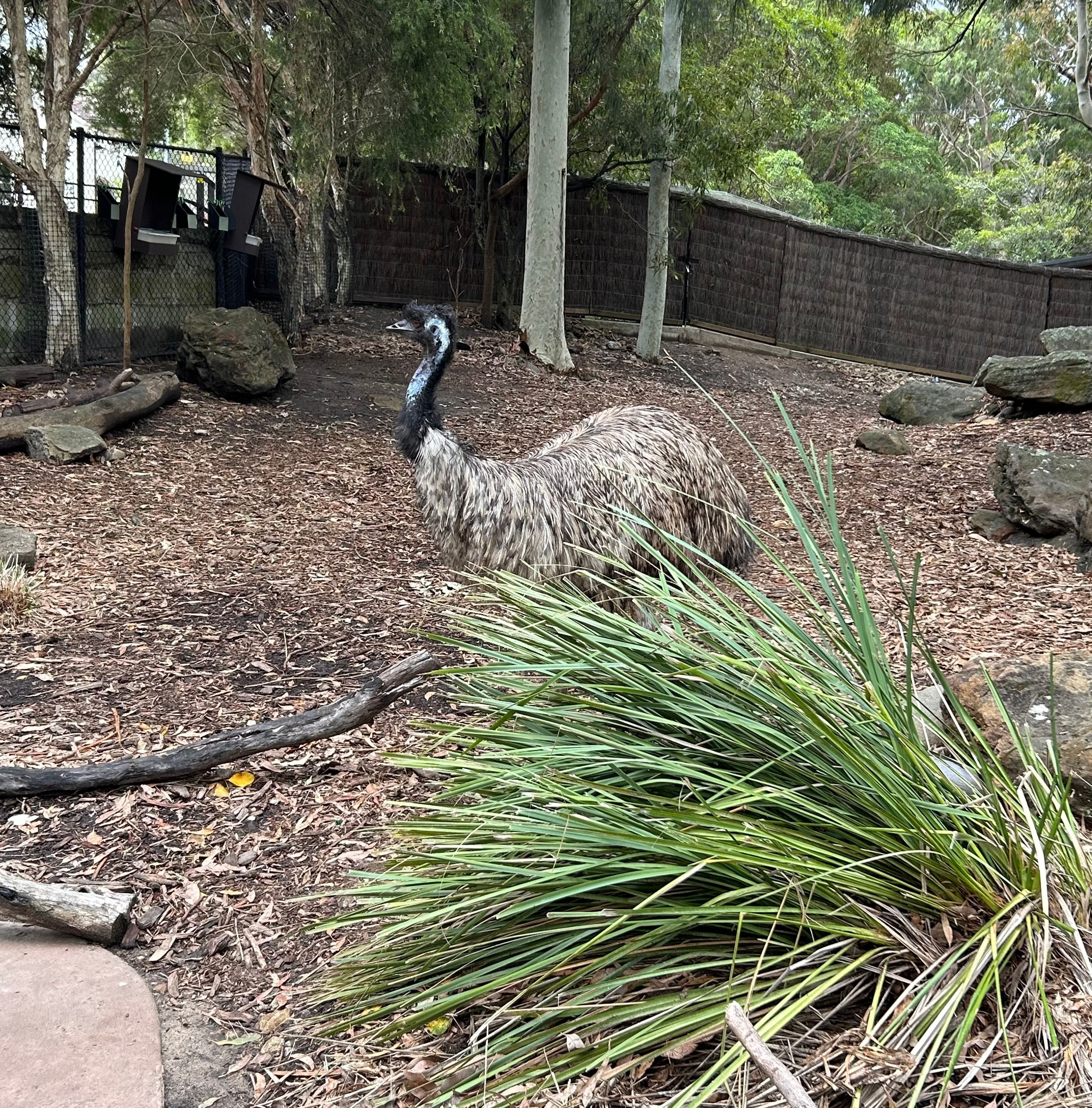 Taronga Zoo - Wildlife Retreat Image -679adb7a7e704