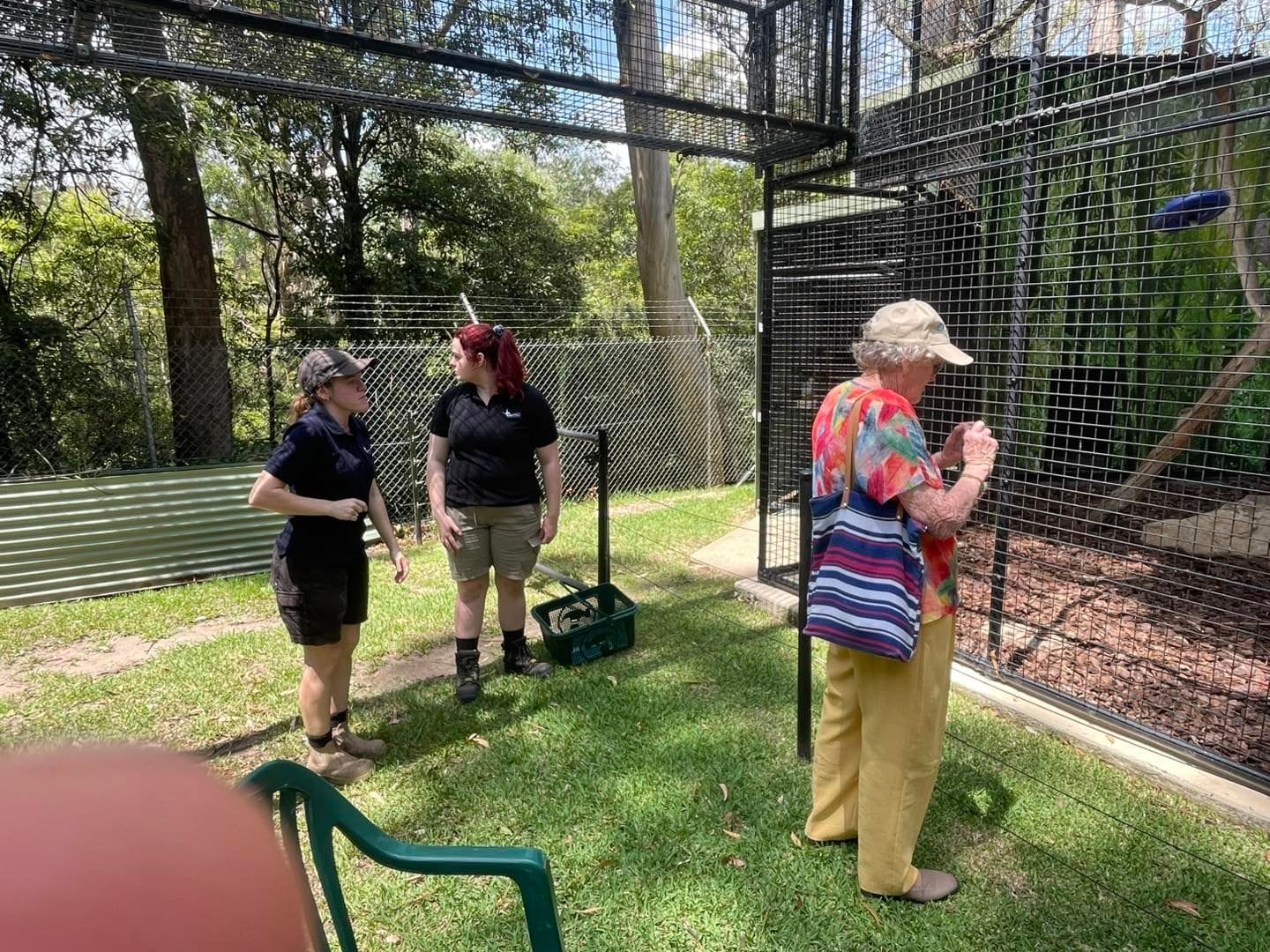 Banana Cabana Primate Sanctuary - 6th February 2025 Public Day Tour Image -67a5f13b5f51b