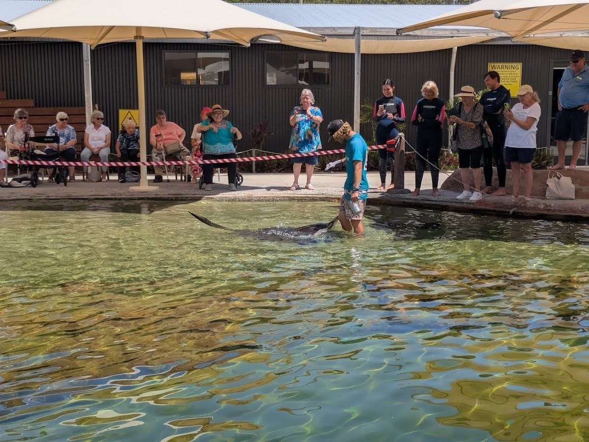 Irukandji Shark & Ray Encounter + Cookabarra Restaurant Image -67a710c60846a