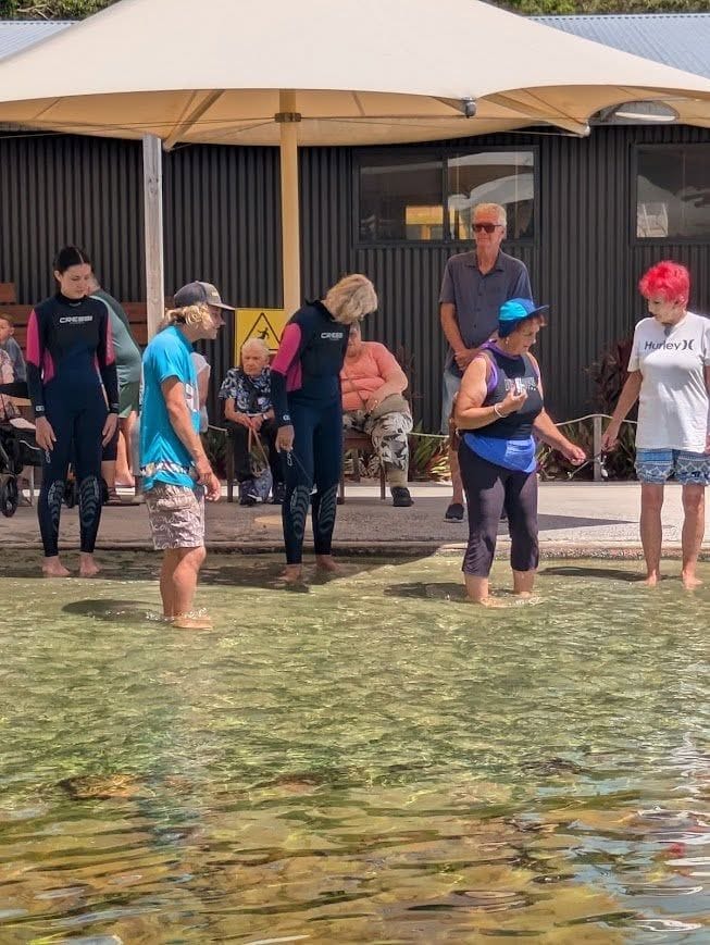 Irukandji Shark & Ray Encounter + Cookabarra Restaurant Image -67a710c748201