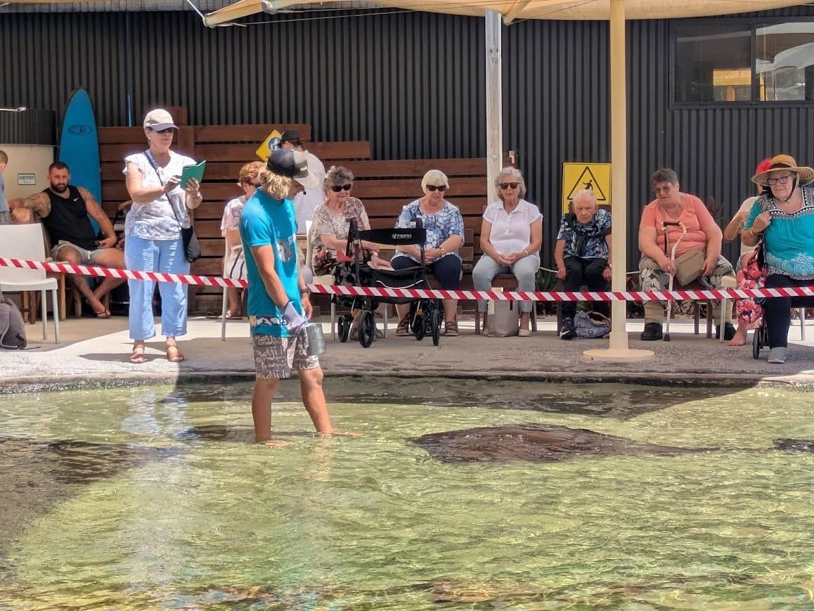 Irukandji Shark & Ray Encounter + Cookabarra Restaurant Image -67a710c981646