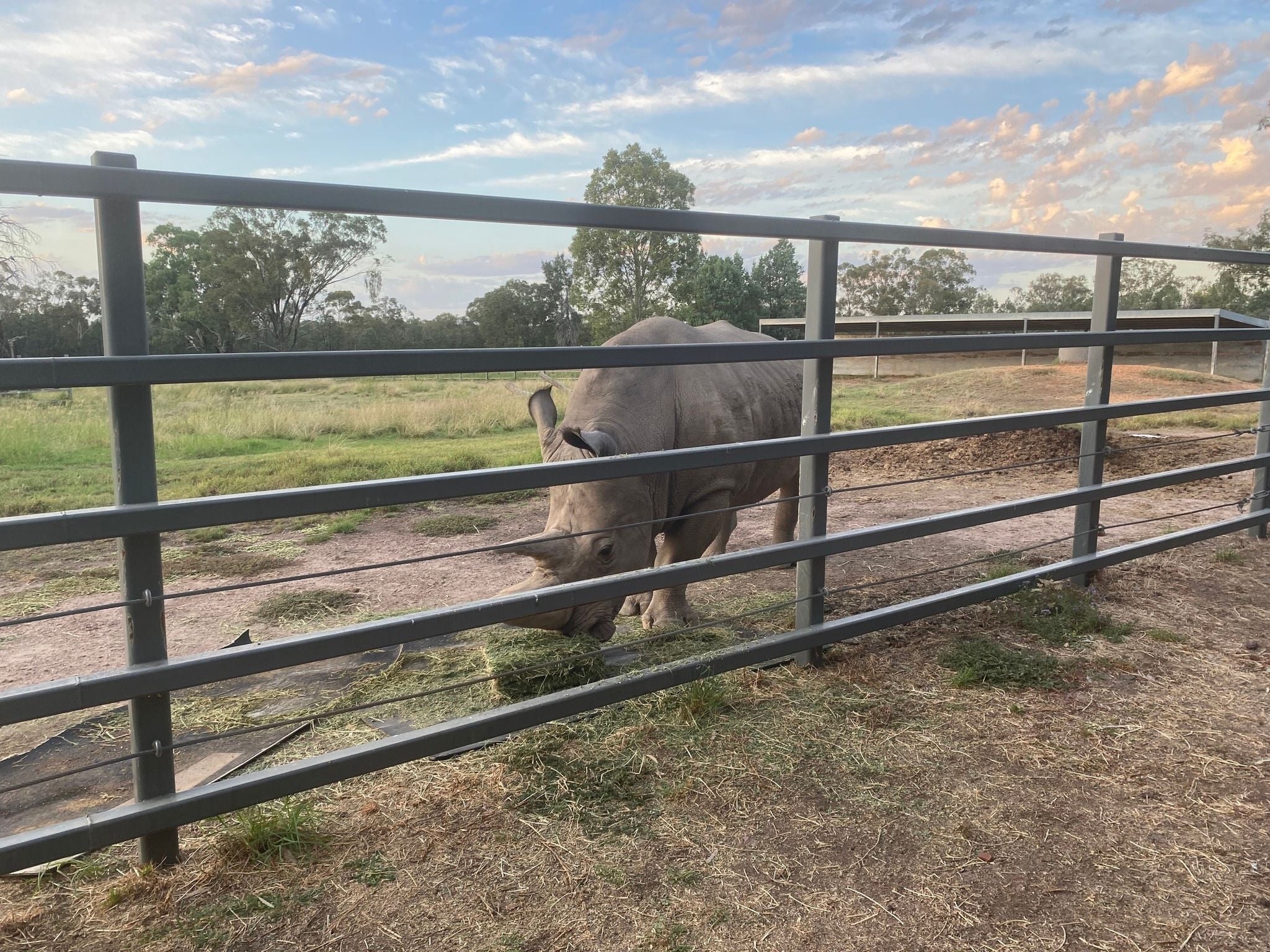 Dubbo Zoo 2025 Dubbo Zoo 2025