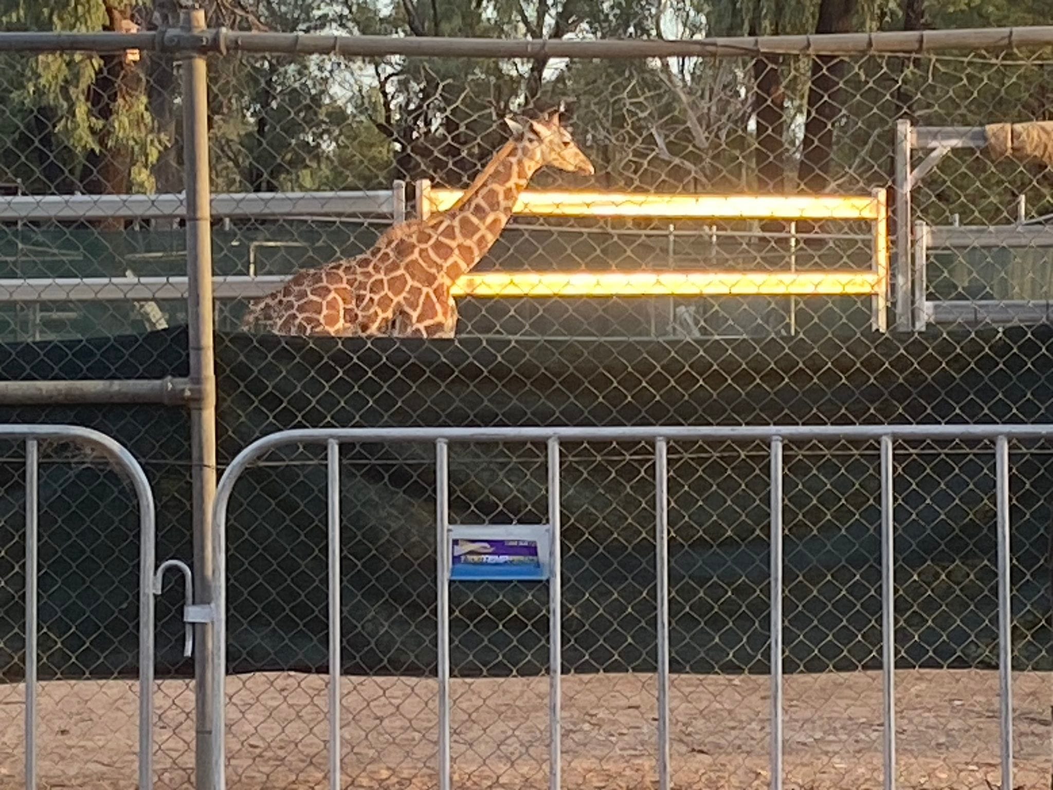 Dubbo Zoo 2025 Image -67de0469ba049