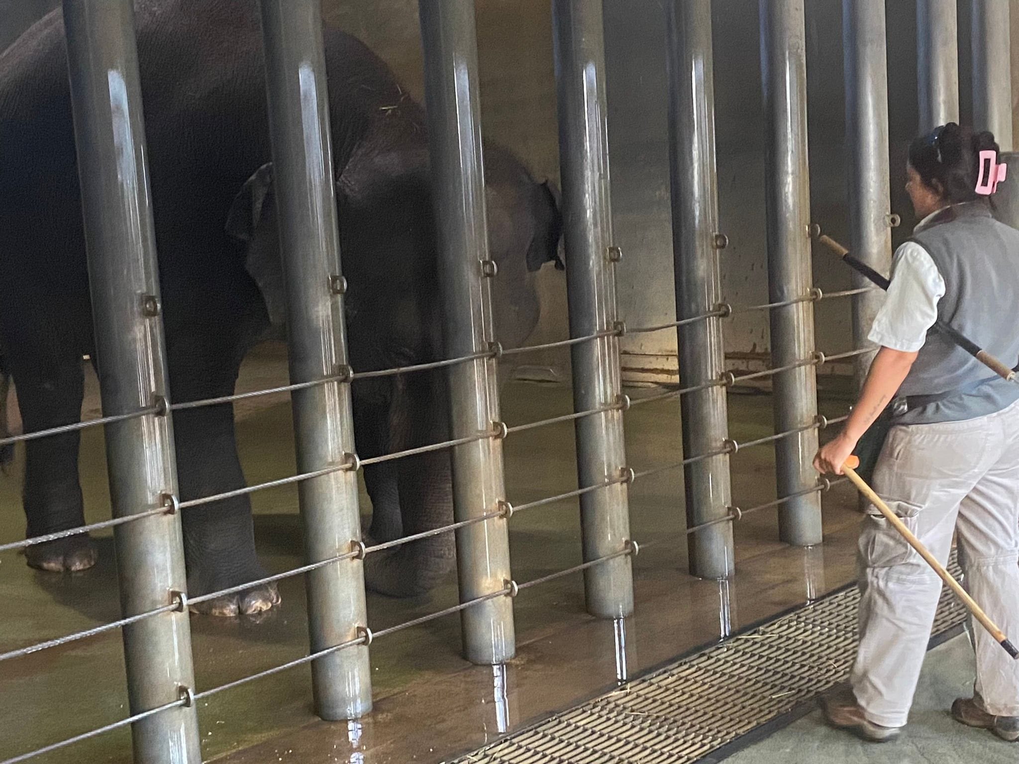 Dubbo Zoo 2025 Image -67de047210116