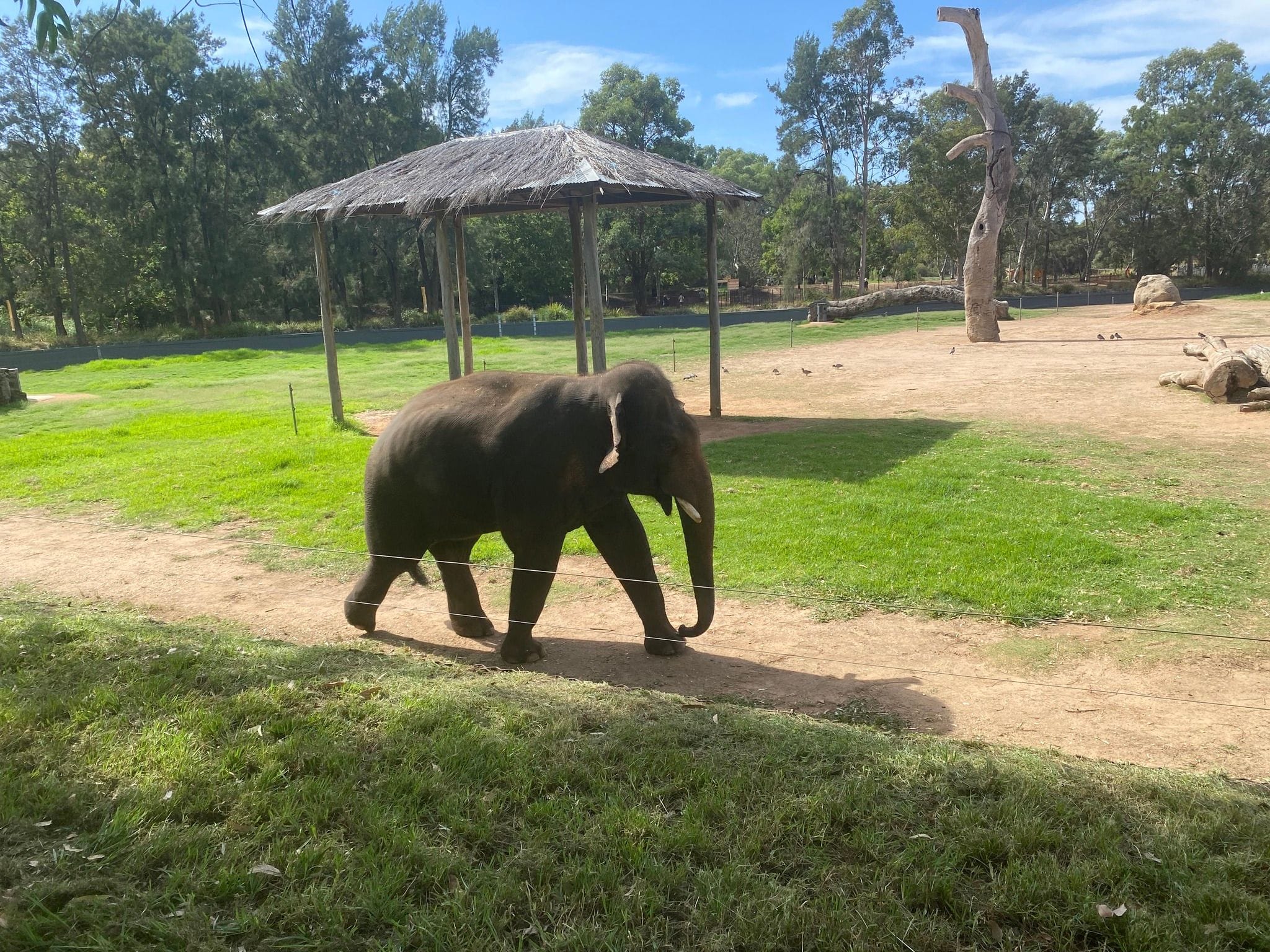Dubbo Zoo 2025 Image -67de04983c073