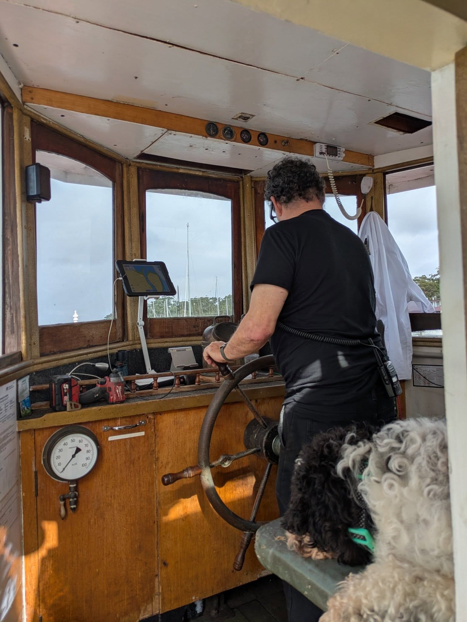 Wangi Queen Public Day Tour 9th May 2025