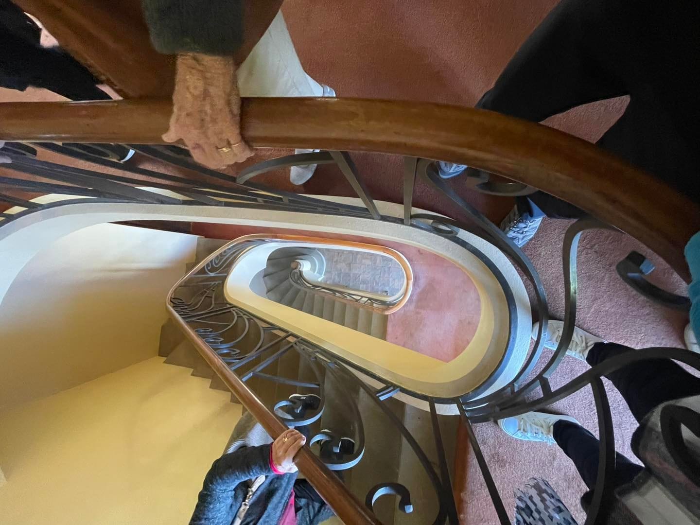 14th May 2025 Public Day Tour to Everglades Historic House & Garden Image -6827c6e78c881