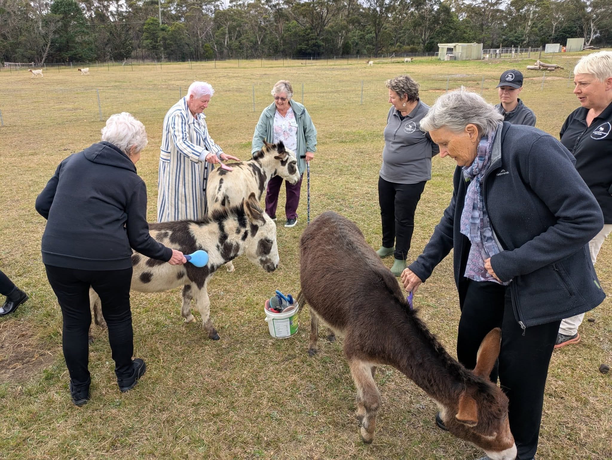 12th May 2025 Pine Ridge Miniature Donkey Public Day Tour Image -6827c95493219