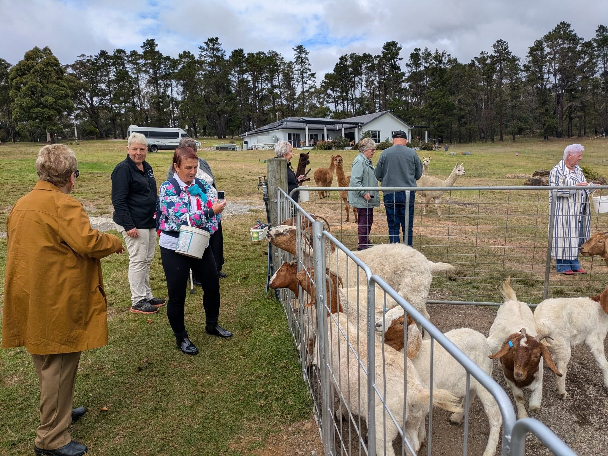 12th May 2025 Pine Ridge Miniature Donkey Public Day Tour Image -6827c9577d147