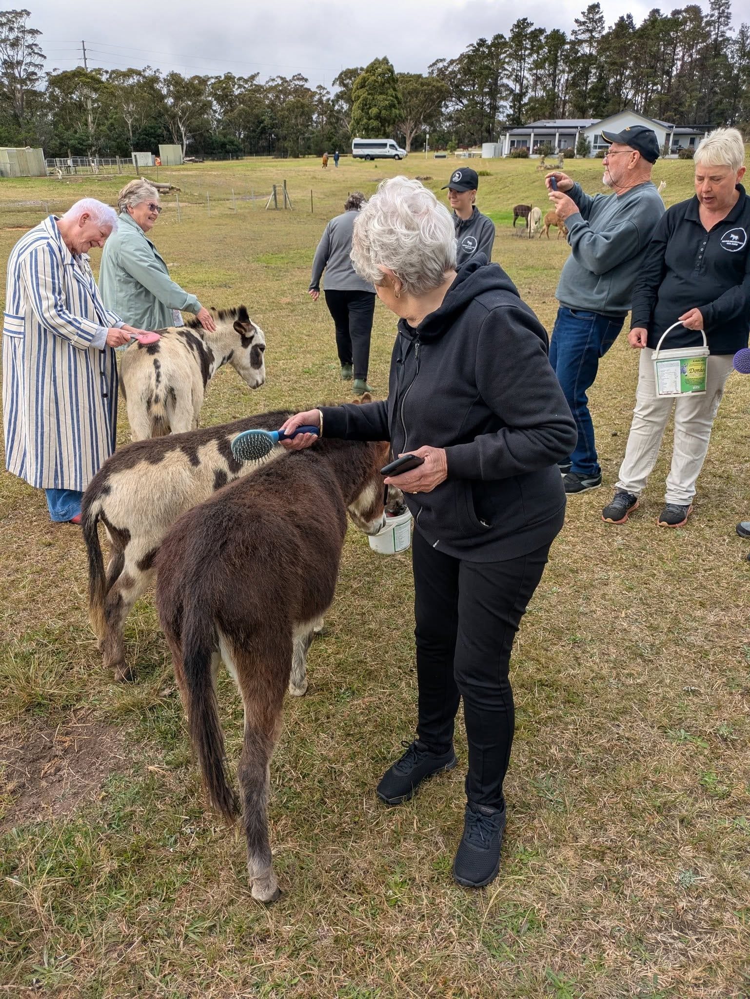 12th May 2025 Pine Ridge Miniature Donkey Public Day Tour Image -6827c959686c9