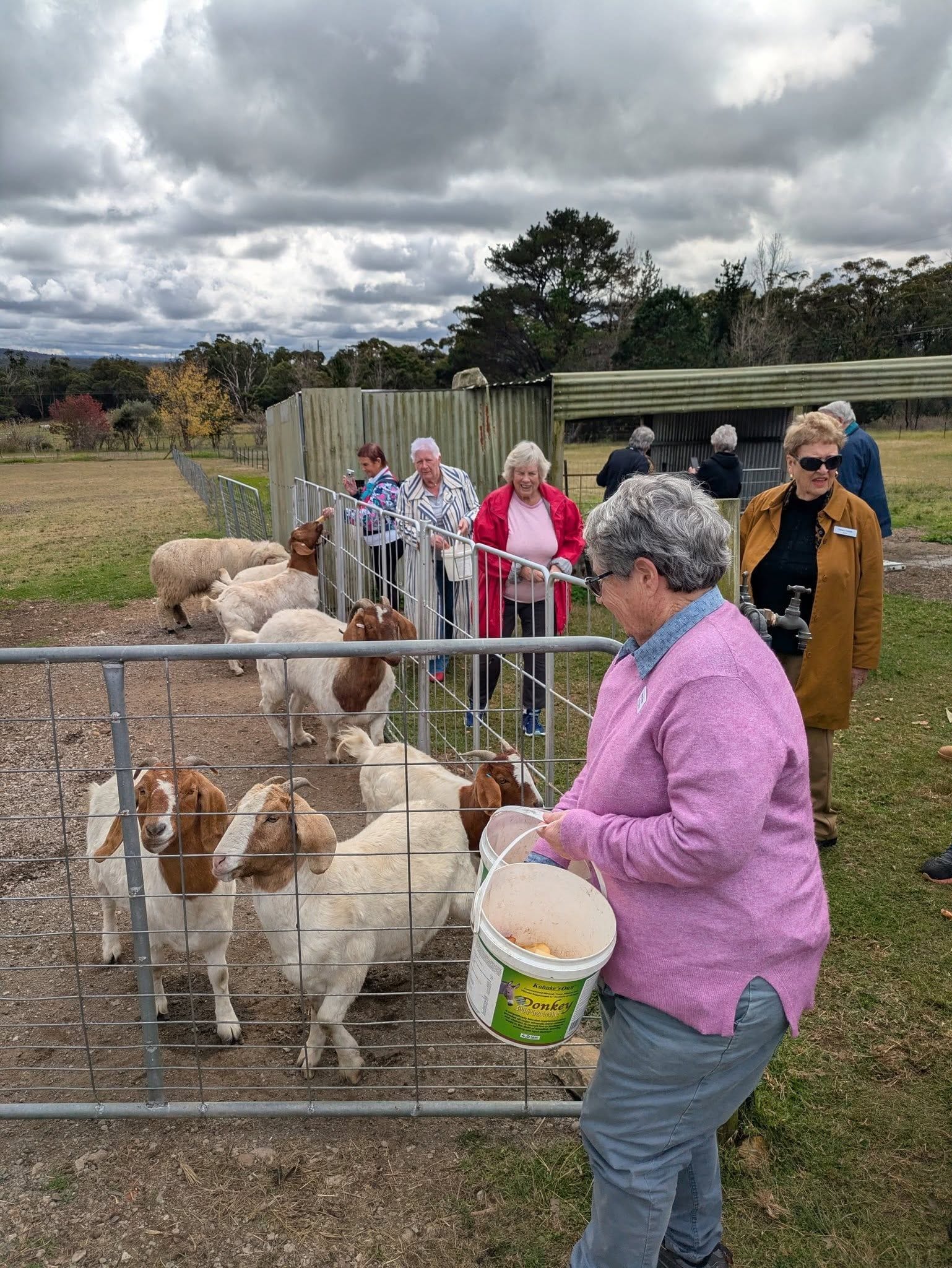 12th May 2025 Pine Ridge Miniature Donkey Public Day Tour Image -6827c959e462d